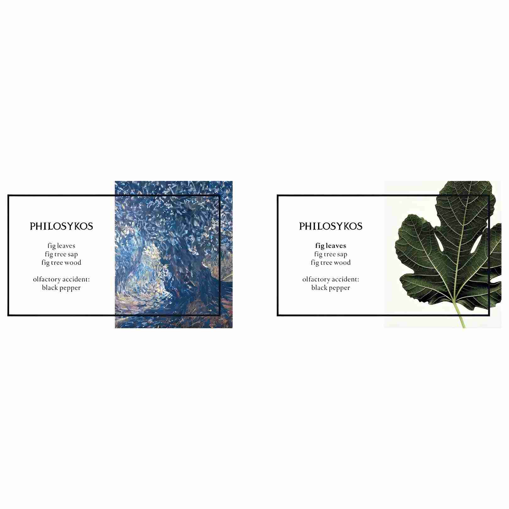 Diptyque philosykos EDP sample 2ml