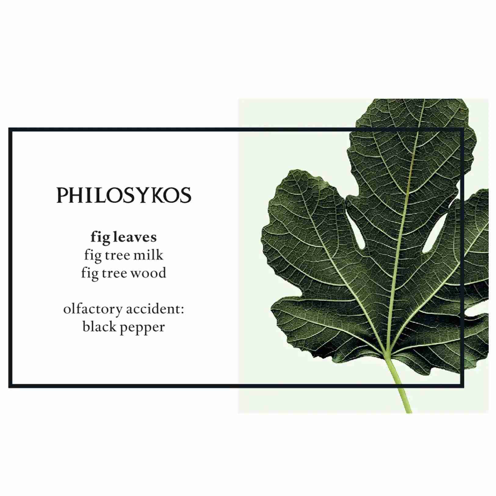 Diptyque philosykos EDT sample 2ml