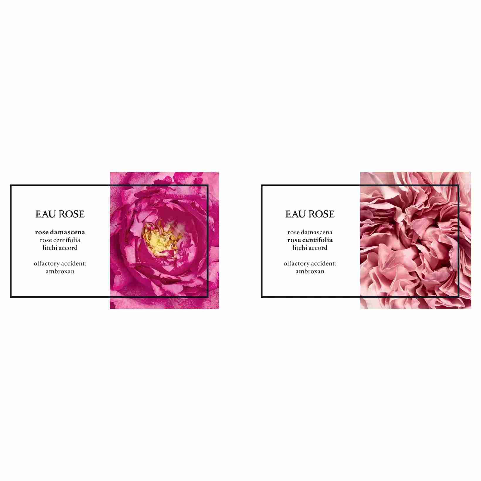 Diptyque eau rose EDT sample 2ml
